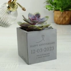 Personalised Large Date Concrete Plant Pot -PERSONALISE STORE p0113a33 3