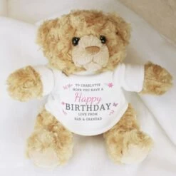 Personalised Girls Free Text Teddy Bear 9 Personalised Girls Free Text Teddy Bear -PERSONALISE STORE p0210d11 3