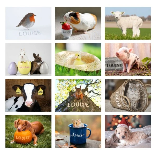 Personalised Cute Animals Desk Calendar 6 Personalised Cute Animals Desk Calendar - Image 6