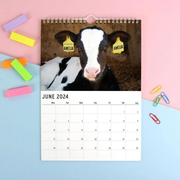 Personalised A4 Cute Animals Calendar 6 Personalised A4 Cute Animals Calendar - Image 6