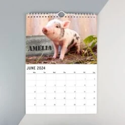 Personalised A4 Cute Animals Calendar 15 Personalised A4 Cute Animals Calendar -PERSONALISE STORE p0512ab26 6