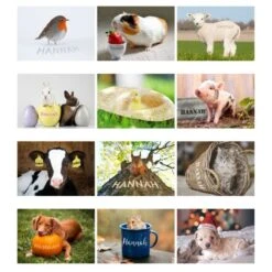 Personalised A4 Cute Animals Calendar 17 Personalised A4 Cute Animals Calendar -PERSONALISE STORE p0512ab26 8