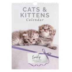 Personalised A4 Cats & Kittens Calendar -PERSONALISE STORE p0512ab27 4