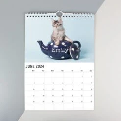 Personalised A4 Cats & Kittens Calendar -PERSONALISE STORE p0512ab27 7