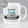 Personalised Best Dads Get Promoted To Mug