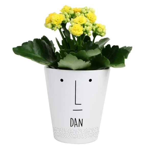 Personalised "Mr Face" Plant Pot 2 Personalised "Mr Face" Plant Pot - Image 2