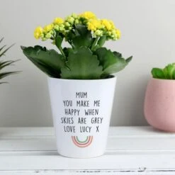 Personalised Rainbow Plant Pot -PERSONALISE STORE p0805l78 2