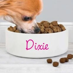 Personalised Pink Name 14cm Medium Pet Bowl -PERSONALISE STORE p0805m83 3