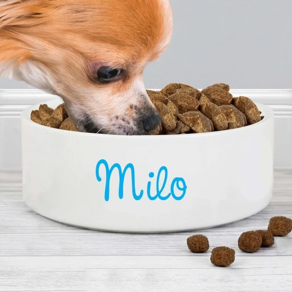 Personalised Blue Name 14cm Medium Pet Bowl 3 Personalised Blue Name 14cm Medium Pet Bowl - Image 3