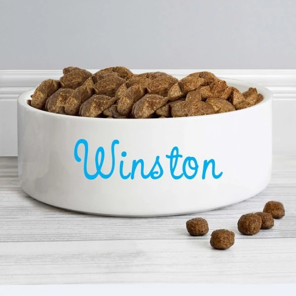 Personalised Blue Name 14cm Medium Pet Bowl 4 Personalised Blue Name 14cm Medium Pet Bowl - Image 4