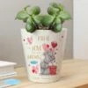 Personalised Me To You Hold You Forever Plant Pot