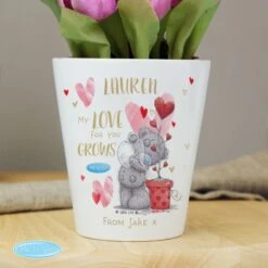 Personalised Me To You Hold You Forever Plant Pot -PERSONALISE STORE p0805n37 2