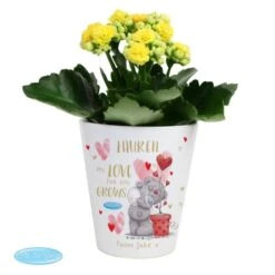 Personalised Me To You Hold You Forever Plant Pot -PERSONALISE STORE p0805n37 3