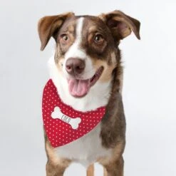 Personalised Red Polka Dot Dog Bandana -PERSONALISE STORE p081056 2