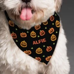 Personalised Pumpkin Patch Dog Bandana -PERSONALISE STORE p0810a27 3