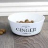 Personalised Reserved For Plastic Cat Bowl