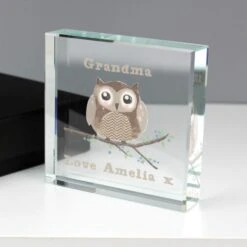 Personalised Woodland Owl Crystal Token -PERSONALISE STORE p1007b62 3