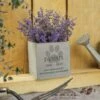 Personalised Pet Memorial Concrete Plant Pot