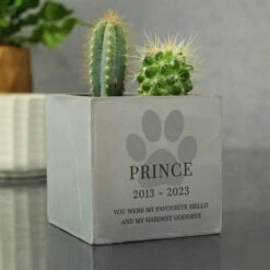 Personalised Pet Memorial Concrete Plant Pot -PERSONALISE STORE p1013a08 2